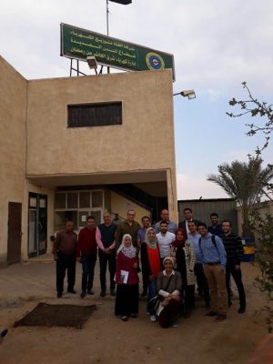 عاجل .. اسكرا امكو - السويدى تسبق الشركات العالمية والمحلية فى توريد وتركيب 50 الف عداد ذكى بشركة القناة لتوزيع الكهرباء