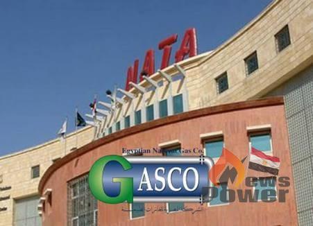 أشرف فتحى مدير عام للتشغيل وسلامة الخطوط بشركة جاسكو