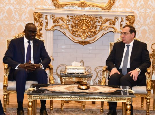 الملا : البترول والغاز سيكون لهما دوراً مهماً  فى تحقيق المنافع المشتركة لدول قارة افريقيا