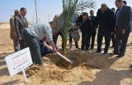 ضمن مبادرة الرئيس السيسى .. الملا يغرس اول نخلة بالوادى الجديد والاطفال يرفعون صورة احتفالا بزيارة مسئولى الوزارة