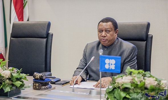 الأمين العام لأوبك : نتوقع المزيد من النجاحات لمصر وزيادة الاستثمارات البترولية