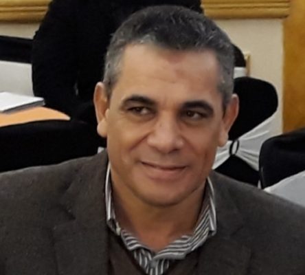 محسن عليوة يكتب : قرارات الرئيس مزايا على طريق التصحيح