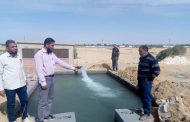 نجاح تجربة أول بئر حكومى بالطاقة الشمسية في الواحات البحرية