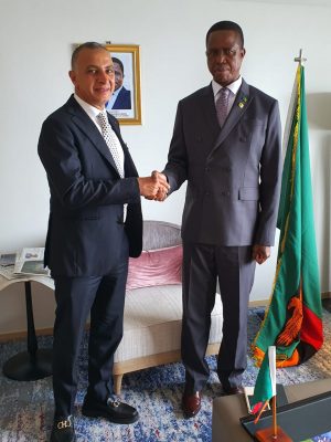 رئيس زامبيا يستقبل المهندس احمد السويدى على هامش مؤتمر طوكيو الدولى للتنمية فى افريقيا