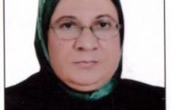 باور نيوز يستعرض الباب الثاني من كتاب الطاقة الكهروشمسية للدكتورة كاميليا يوسف