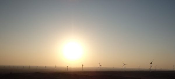 سيمنس جاميسا تبني محطة غرب بكر لطاقة الرياح بقدرة 252 ميجاوات