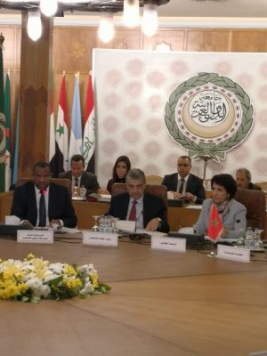 شاكر : الربط الكهربائي يمهد الطريق لاقامة سوق عربية مشتركة للكهرباء بين الدول العربية