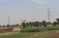 توقف المحور الموازى لشبكة ربط 500 كيلو فولت عند قنا بسبب عدم صرف تعويضات المزارعين