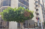 انتاج بدر الدين يرتفع الي 32.5 الف برميل زيت يومي بعد وضع البئر بدر2- 3س-3 علي الإنتاج بمعدل 3500 برميل زيت يومي