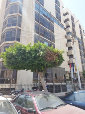 انتاج بدر الدين يرتفع الي 32.5 الف برميل زيت يومي بعد وضع البئر بدر2- 3س-3 علي الإنتاج بمعدل 3500 برميل زيت يومي