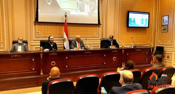 خلال مشاركتها فى اجتماع لجنة الصناعة بمجلس النواب .. وزيرة التجارة تستعرض تفاصيل مبادرة إحلال المركبات المتقادمة وتحويل السيارات للعمل بالغاز الطبيعي