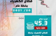 وزارة التخطيط والتنمية : 45.3 مليار جنيه إجمالى الاستثمارات المستهدفة لقطاع الكهرباء بخطة 2020/2021