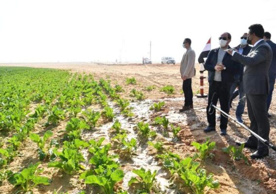 الرئيس السيسي يتفقد مشروع «مستقبل مصر» للإنتاج الزراعي باستصلاح ٥٠٠ ألف فدان