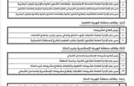 المحاسب هانى اسماعيل يرد على 