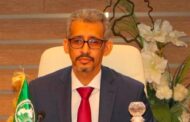 منظمة 