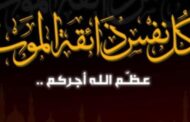 شركه جيزة للأنظمة Giza Systems المهندس شهاب النواوي وأعضاء مجلس الإدارة يشاطرون المهندس جابر دسوقى الاحزان فى وفاة شقيق سيادته
