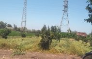 كهروميكا تواصل انجازاتها لاستكمال ربط محطة محولات كفر الشيخ بالشبكة الموحدة