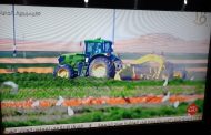 جهاز الخدمة الوطنية : زرعنا المرحلة الأولى من مشروع توشكى وغرسنا مليون و 350 الف نخلة