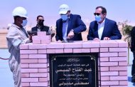 وزارة البترول : جارى تنفيذ مشروعات بتروكيماوية بتكلفة 8 مليار دولار 