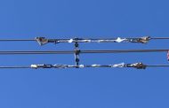 بدء اصلاح موصلات خط غرب البرلس ايتاى البارود لشركة State Grid