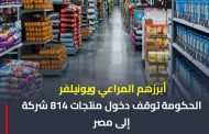 أبرزهم «المراعي» و«يونيلفر» .. الحكومة توقف دخول منتجات 814 شركة إلى مصر