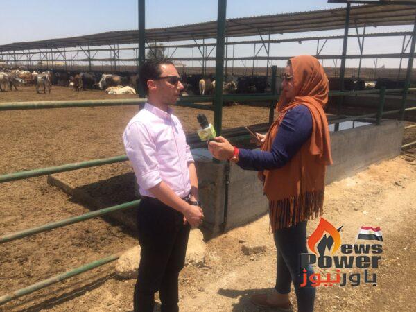 لذبحها خلال عيد الأضحى وأيام التشريق..  لجنة الخبراء تقوم بفحص الأضاحي بمزارع 