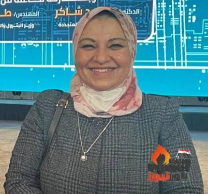 مصر والأردن يعقدان ورشة عمل حول الربط الكهربائى المشترك