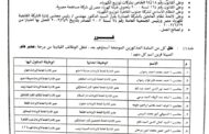 ثورة تصحيح 
