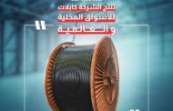 فلوريش للاستثمار تبيع كامل حصتها في رأسمال الكابلات الكهربائية