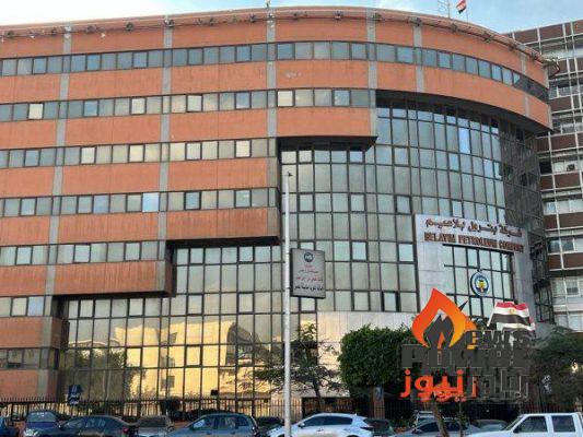 مرفق الكهرباء يمنح بترول بلاعيم ترخيصا بإقامة محطة طاقة شمسية قدرة 6 ميجاوات