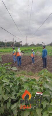 الان .. هاى تاور تطلق التيار الكهربائى على الخط الكهربائى دهشور - العياط بعد اصلاح البرج المنهار