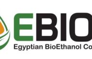 المصرية للايثانول الحيوي تطرح مناقصة المقاول العام لمشروعها الجديد وتحدد موعد تلفي العروض الفنية والمالية 15 يناير الجاري