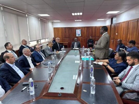 تنفيذ التحالف المصرى 