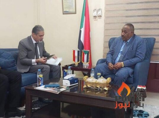 وزير الطاقة والنفط السودانى يبحث مع السفير المصري الربط الكهربائي بين البلدين