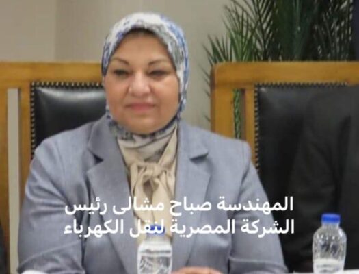 لحين الانتهاء من التحقيقات الجارية .. مشالى تقرر نقل مدير عام خطوط وكابلات السويس بمنطقة القناة للشئون الفنية