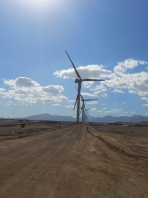 بحضور عدد من السفراء .. شاكر يفتتح محطة رياح خليج السويس قدرة 252 ميجاوات