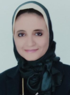 نقل الكهرباء تطرح مناقصة لعملية فتح الخط الهوائي المزدوج الدائرة جهد ٦٦ ك . ف حوش عيسي القائمة / ابو المطامير الجديدة