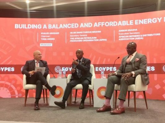 إيجبس 2025 | جلسة حوارية برئاسة المهندس خالد أبو بكر حول 