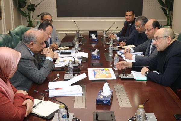 وزيرا الكهرباء وقطاع الأعمال العام يبحثان سبل التعاون في مجال الطاقة المتجددة والتحول الأخضر