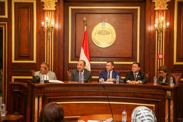 وزير قطاع الأعمال العام يستعرض استراتيجية عمل الوزارة أمام لجنة الصناعة بمجلس النواب
