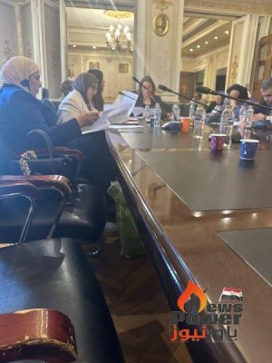 الآن .. لجنة الطاقة تناقش موازانات هيئات وزارة الكهرباء