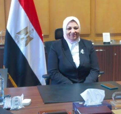 مشالى تبدأ جولة ميدانية لتفقد أعمال الخطوط الكهربائية لمشروع الدلتا الزراعى العملاق 