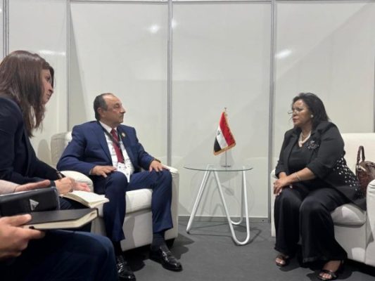 وزير قطاع الأعمال العام يجتمع مع الرئيسة التنفيذية لوكالة تنمية الاتحاد الأفريقي 