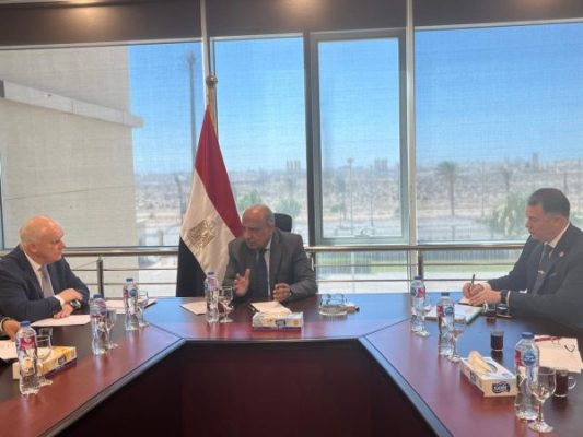 عصمت يجتمع بالنائب الأول لمدير عام المؤسسة الحكومية الروسية للطاقة الذرية 