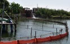 شركة الوسطاني للبترول.. ريادة في حماية البيئة من الامتثال إلى الإدارة الاستباقية