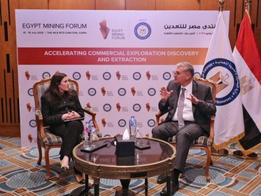 وزير البترول يلتقي المدير التنفيذي لشركة 