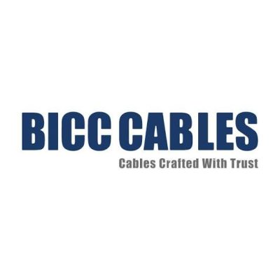 امر إسناد لشركة BICC لتوريد كابلات نحاس للشركة المصرية للنقل الكهرباء