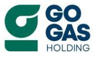 شركة جو جاس (Go Gas Holding) صاحبة امتياز حقلي باندا و تيفيت بموريتانيا ضمن أفضل 15 مشروعًا للغاز الطبيعي في شمال وغرب أفريقيا.