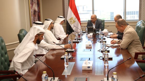 وزير الكهرباء يبحث مع 
