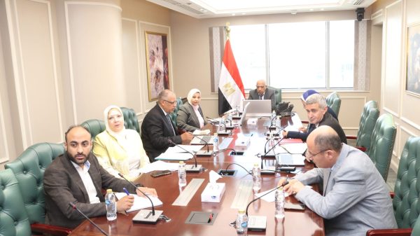 وزير الكهرباء يستعرض مستجدات تنفيذ مشروعات الطاقات الجديدة والمتجددة في إطار الاستراتيجية الوطنية للطاقة